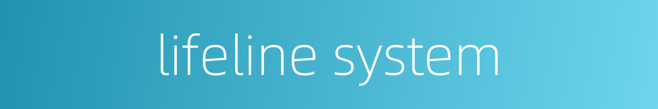 lifeline system的同义词