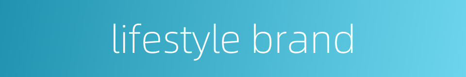 lifestyle brand的同义词