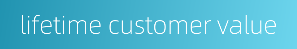 lifetime customer value的同义词