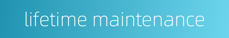 lifetime maintenance的同义词