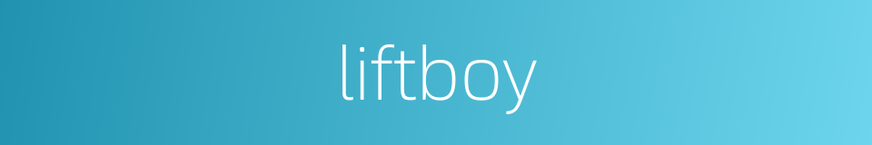 liftboy的同义词