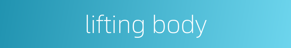 lifting body的同义词