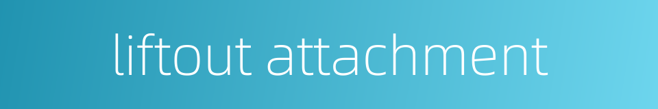 liftout attachment的同义词