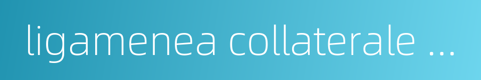 ligamenea collaterale radiale的同义词