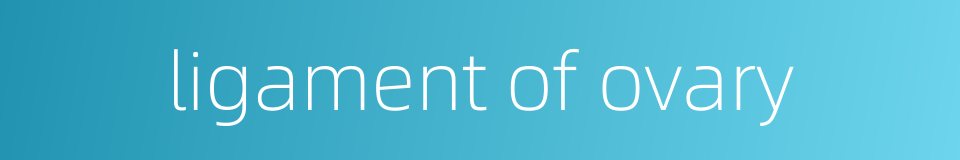 ligament of ovary的同义词