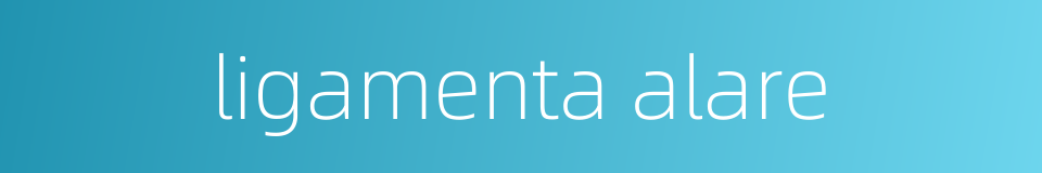 ligamenta alare的同义词