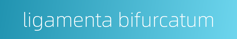 ligamenta bifurcatum的同义词