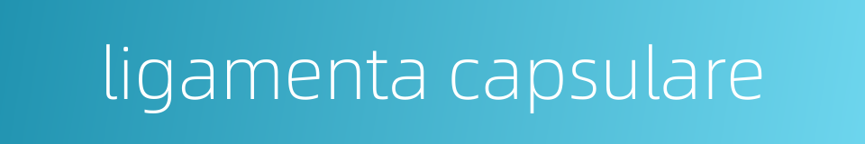 ligamenta capsulare的同义词
