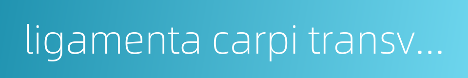 ligamenta carpi transversum的同义词