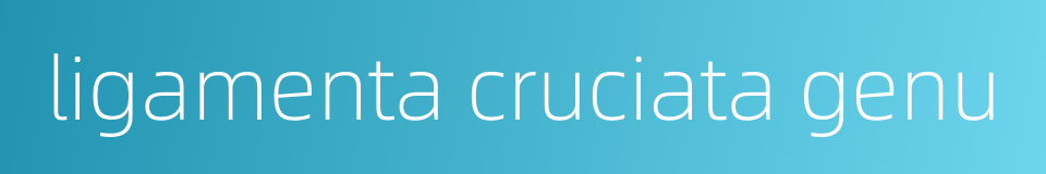 ligamenta cruciata genu的同义词