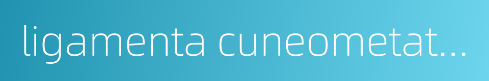 ligamenta cuneometatarsea interossea的同义词