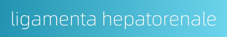 ligamenta hepatorenale的同义词
