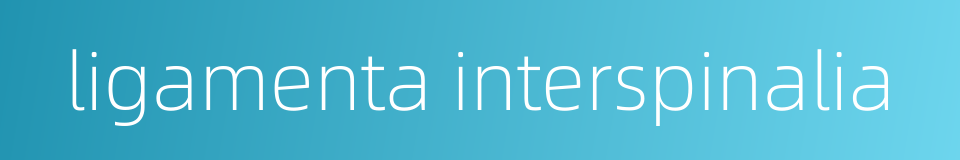 ligamenta interspinalia的同义词