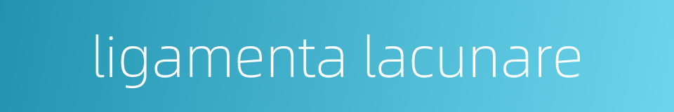 ligamenta lacunare的同义词