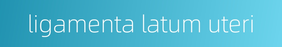 ligamenta latum uteri的同义词