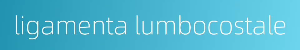 ligamenta lumbocostale的同义词