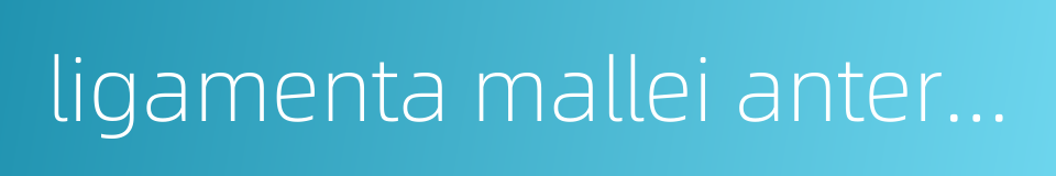 ligamenta mallei anterius的同义词