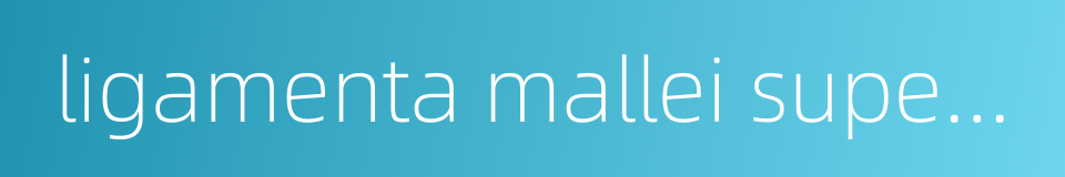 ligamenta mallei superius的同义词