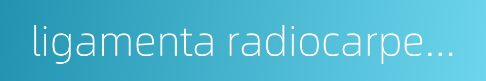 ligamenta radiocarpeum dorsale的同义词