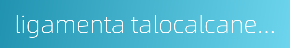 ligamenta talocalcaneum laterale的同义词