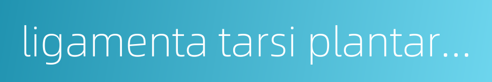 ligamenta tarsi plantaria的同义词