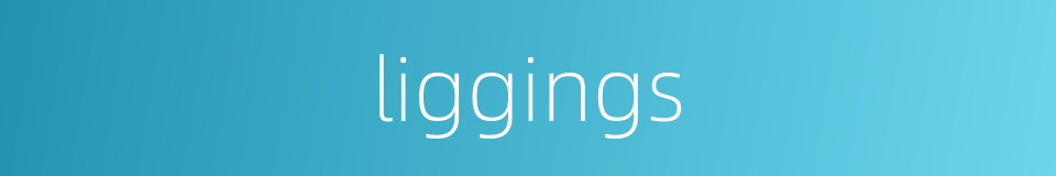 liggings的同义词