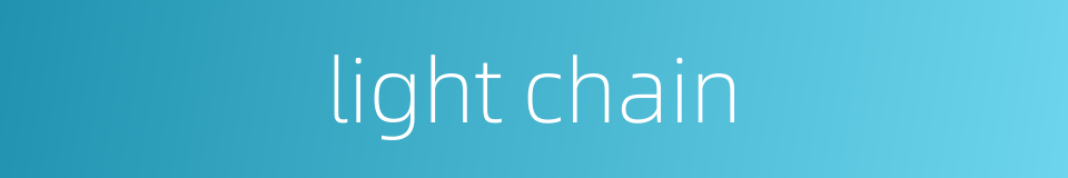 light chain的同义词
