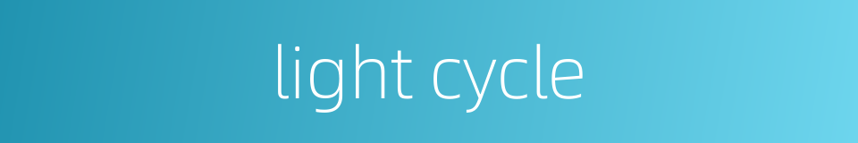 light cycle的同义词