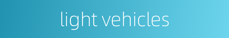 light vehicles的同义词