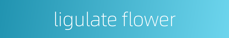 ligulate flower的同义词