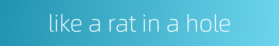 like a rat in a hole的同义词