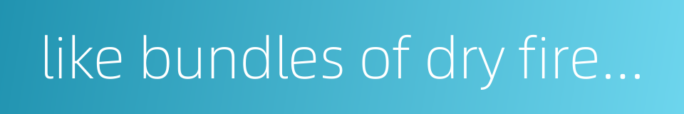 like bundles of dry firewood - a single spark will start a big fire的同义词