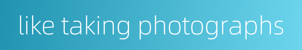 like taking photographs的同义词