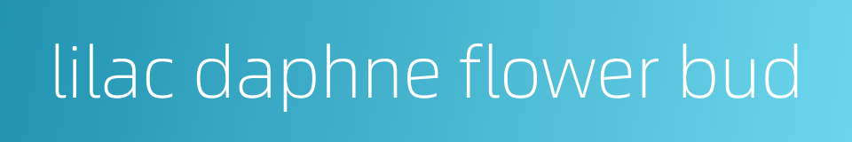 lilac daphne flower bud的同义词