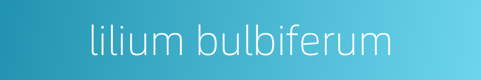 lilium bulbiferum的同义词