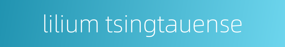 lilium tsingtauense的同义词
