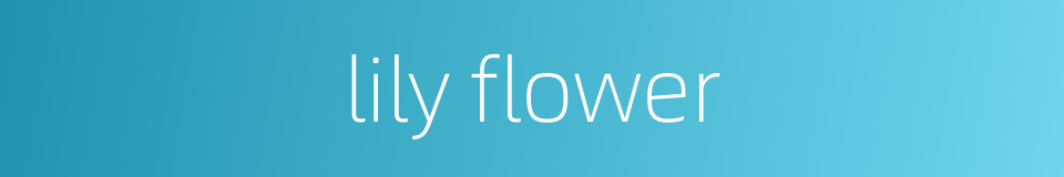 lily flower的同义词