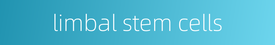 limbal stem cells的同义词