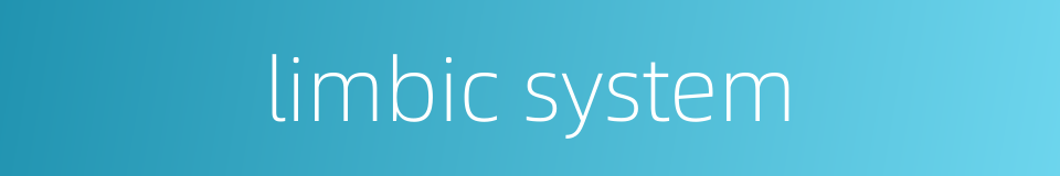 limbic system的同义词