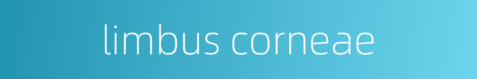 limbus corneae的同义词