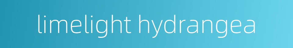 limelight hydrangea的同义词