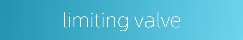 limiting valve的同义词