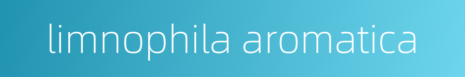 limnophila aromatica的同义词