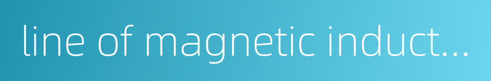 line of magnetic induction的同义词