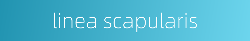 linea scapularis的同义词
