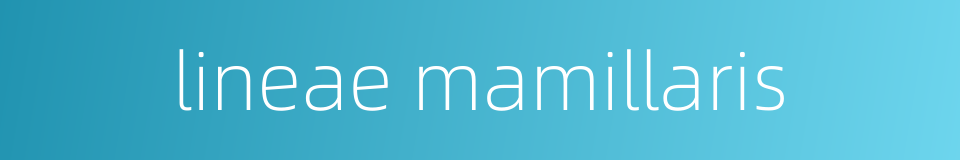 lineae mamillaris的同义词