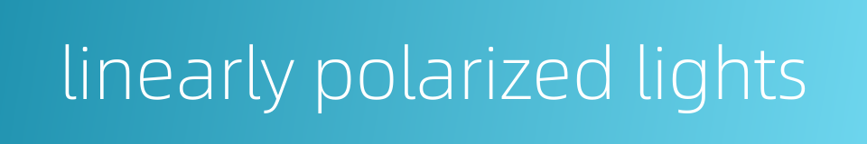 linearly polarized lights的同义词