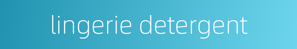 lingerie detergent的同义词