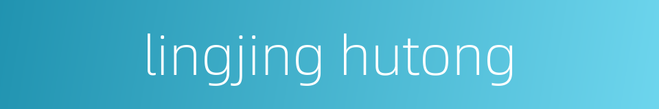 lingjing hutong的同义词