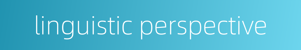linguistic perspective的同义词